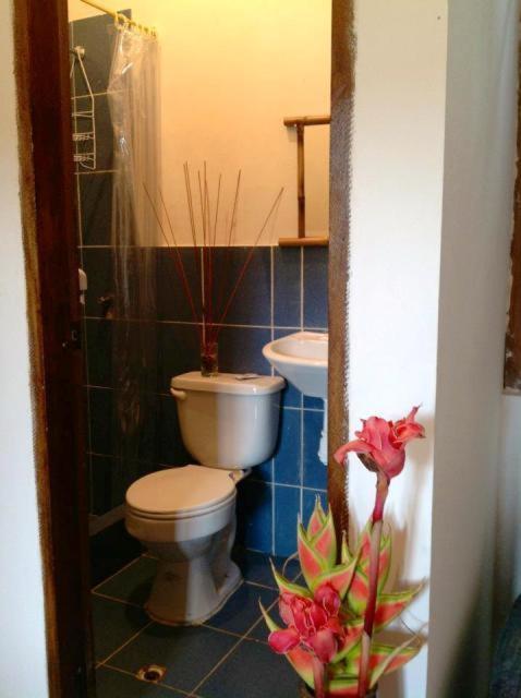 Hosteria Mindo Samay Juku Zewnętrze zdjęcie